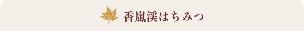 香嵐渓はちみつ