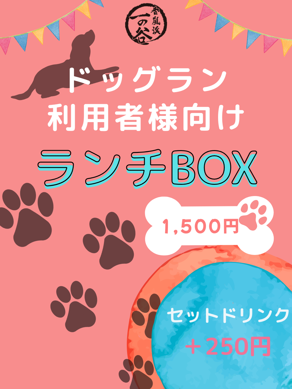 ランチBOXの販売開始！